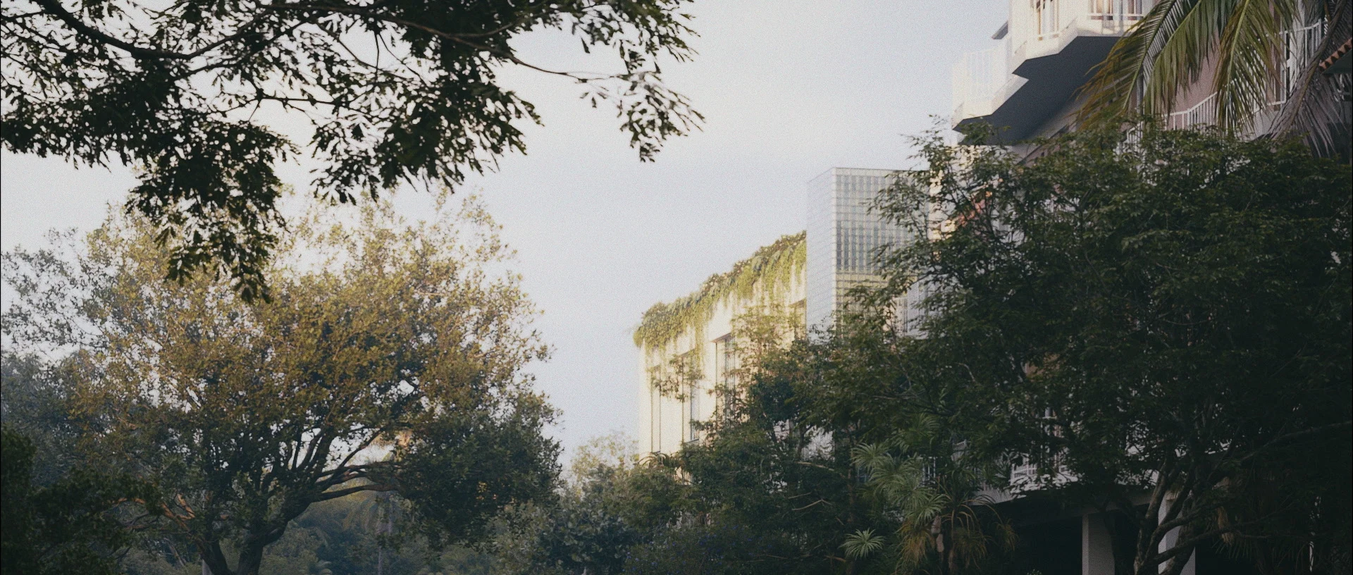 slider_one_1